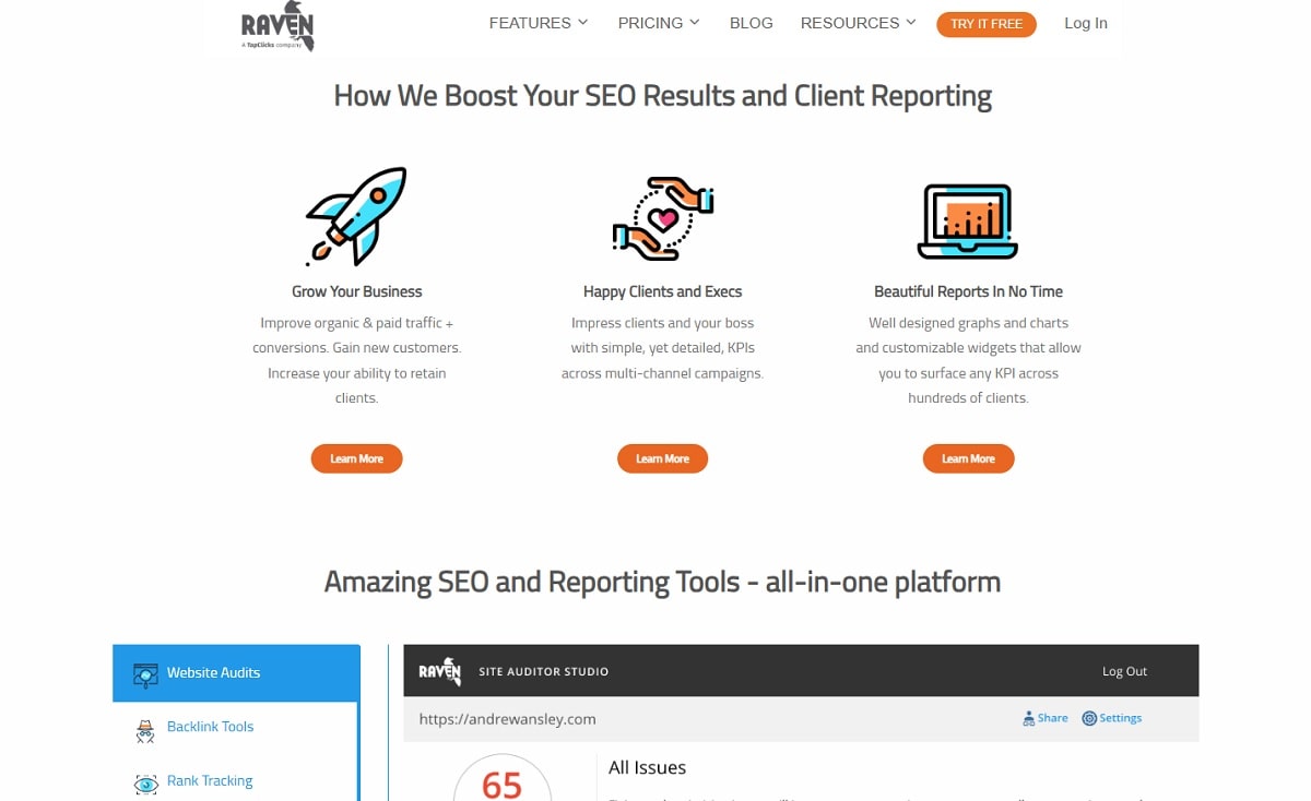 All-in-One SEO Platform
